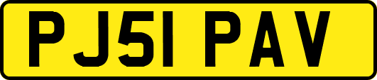 PJ51PAV