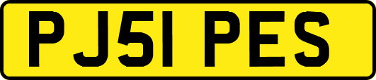 PJ51PES
