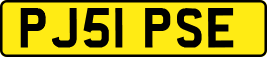 PJ51PSE