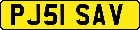PJ51SAV