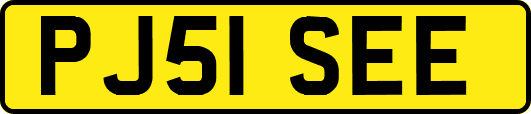 PJ51SEE