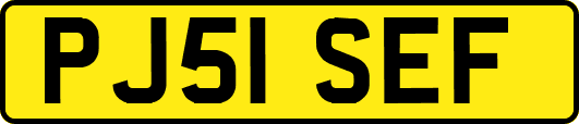 PJ51SEF