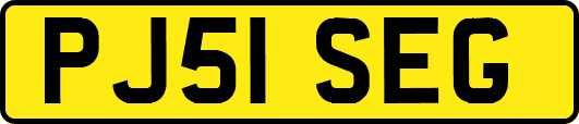 PJ51SEG