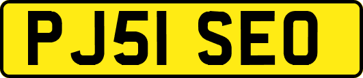 PJ51SEO