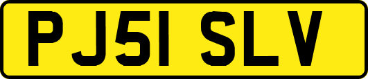 PJ51SLV