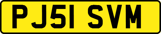 PJ51SVM