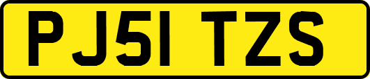 PJ51TZS