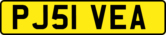 PJ51VEA