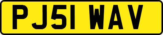 PJ51WAV