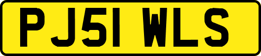 PJ51WLS