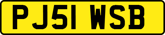 PJ51WSB