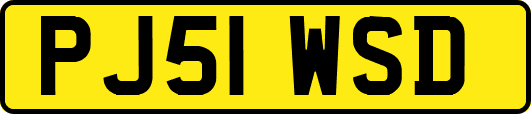 PJ51WSD