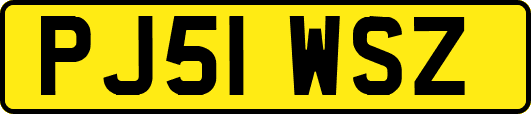 PJ51WSZ