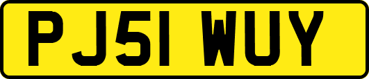 PJ51WUY
