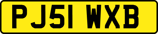 PJ51WXB