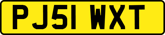 PJ51WXT