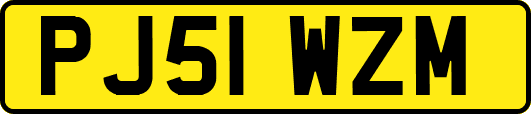 PJ51WZM