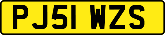 PJ51WZS