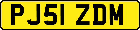 PJ51ZDM