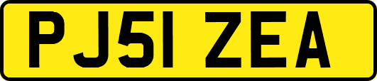 PJ51ZEA