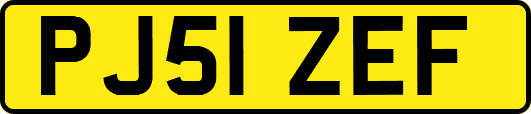PJ51ZEF