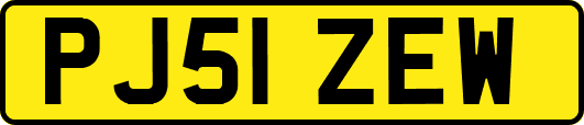 PJ51ZEW