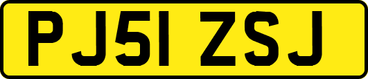 PJ51ZSJ
