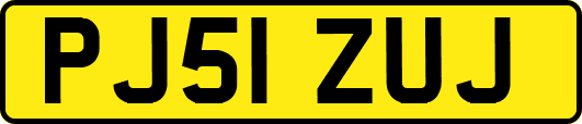 PJ51ZUJ