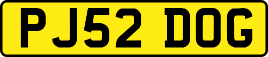 PJ52DOG