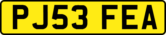 PJ53FEA