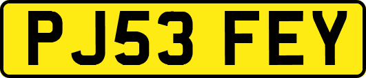 PJ53FEY