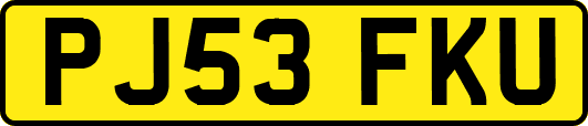 PJ53FKU