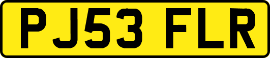 PJ53FLR