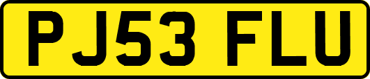 PJ53FLU