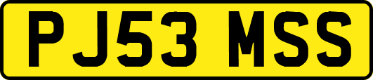 PJ53MSS