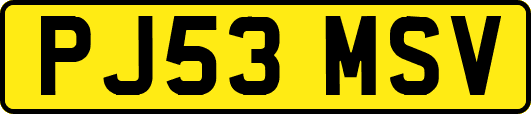 PJ53MSV
