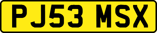 PJ53MSX