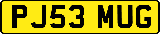 PJ53MUG