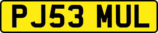 PJ53MUL