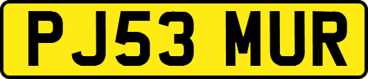 PJ53MUR