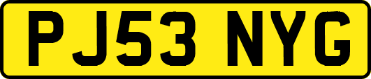 PJ53NYG