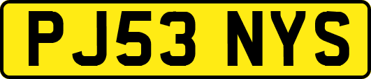 PJ53NYS
