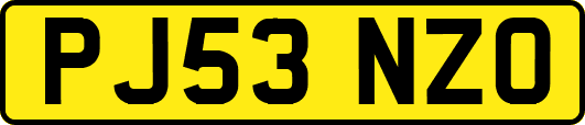 PJ53NZO