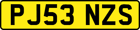 PJ53NZS