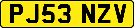 PJ53NZV