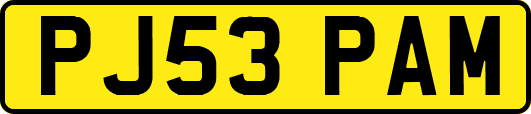 PJ53PAM