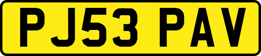 PJ53PAV