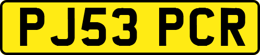 PJ53PCR