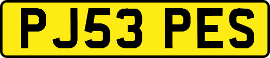 PJ53PES