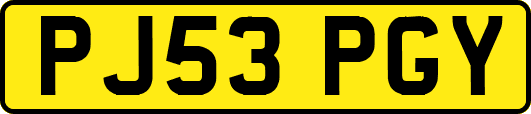 PJ53PGY